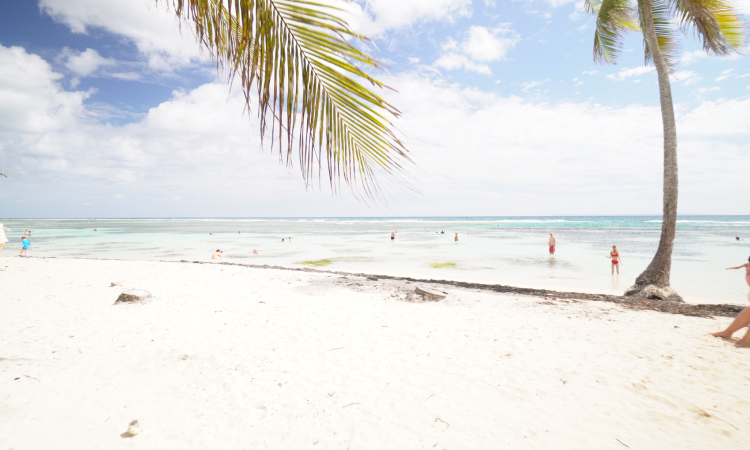 La plage de bois jolan guadeloupe